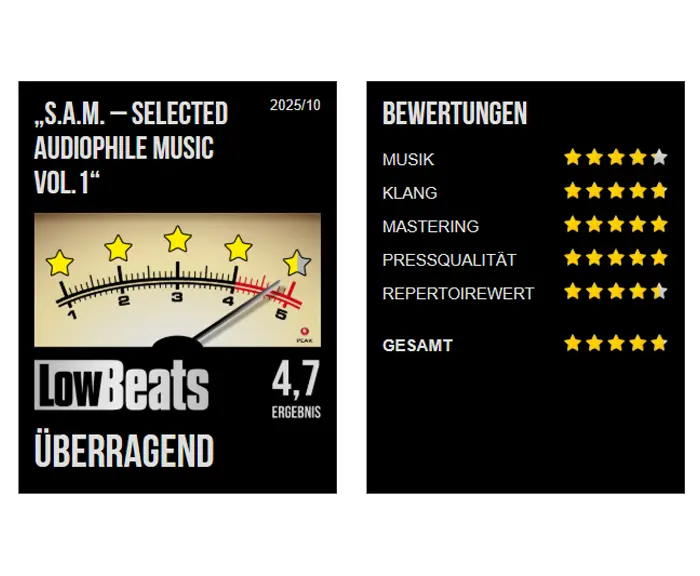 Bild aus dem Blog: Musikrezensionen – Sam Lowbeats