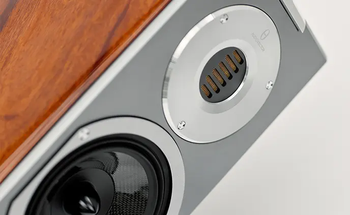 Nahaufnahme von Audiovector r5 in Afrikanisches Mahagoni 