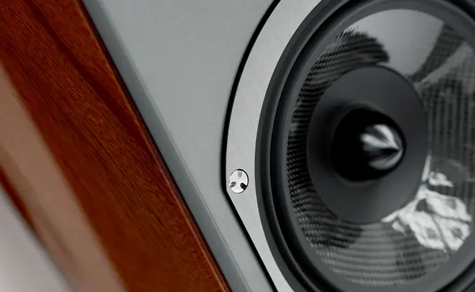 Nahaufnahme von Audiovector r5 in Afrikanisches Mahagoni 